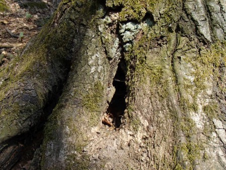 aj tu niekto býva...